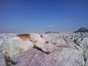 Η λιακάδα λυτρώνει